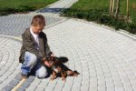 Leier kertépítő akció