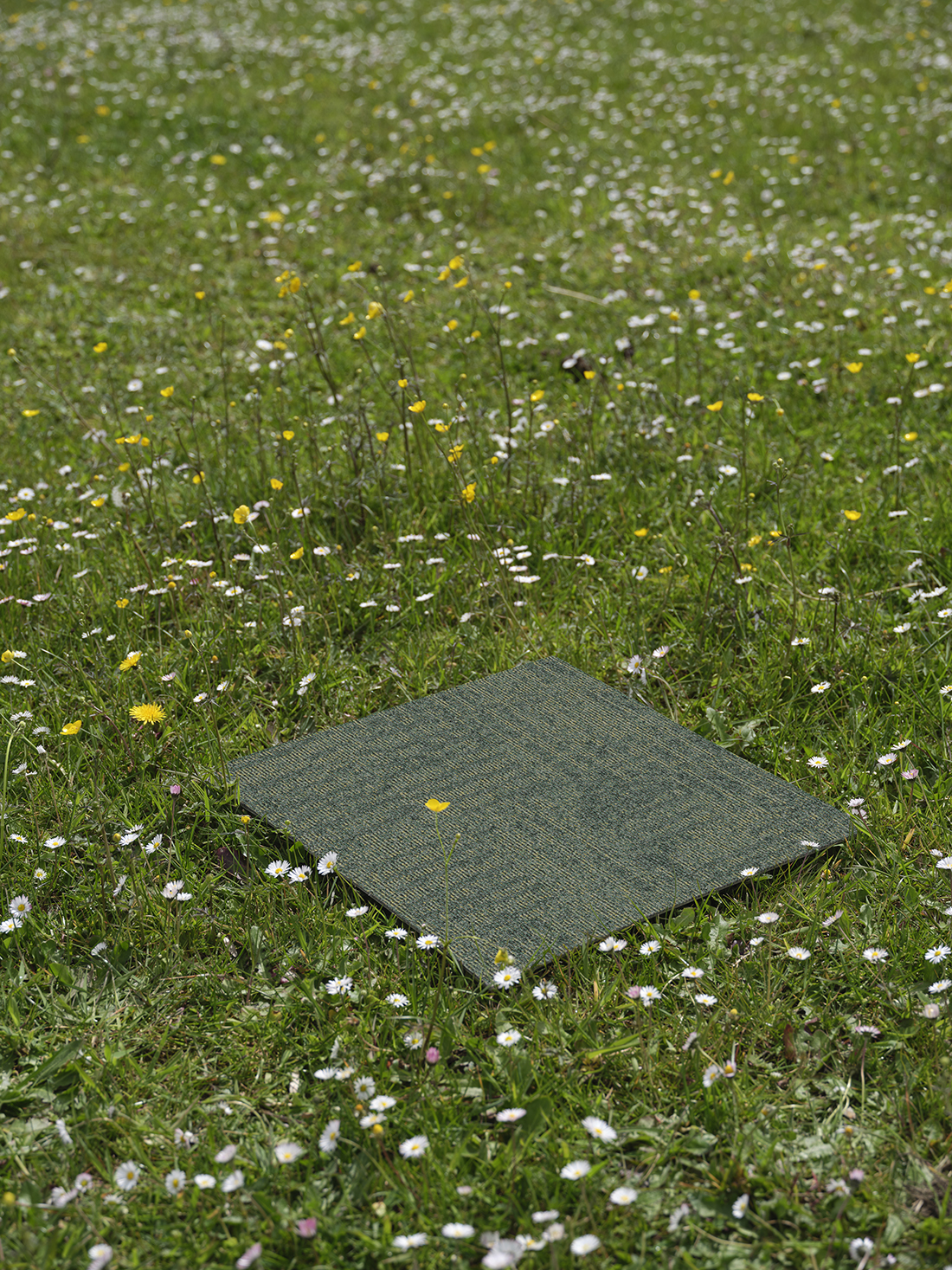 modulyss Meadow modul szőnyegpadló