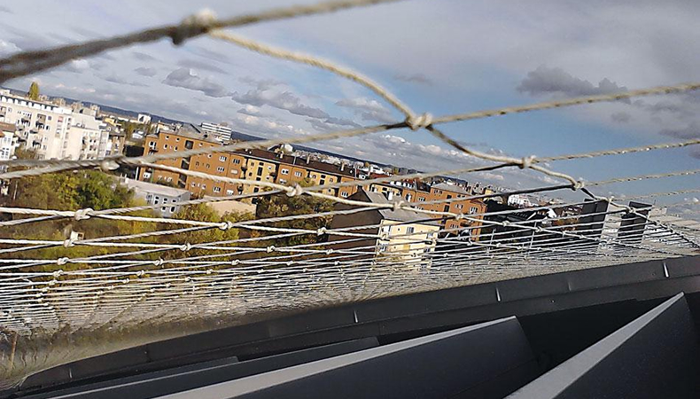 Galambmentesítés a Papp László Sportarénán