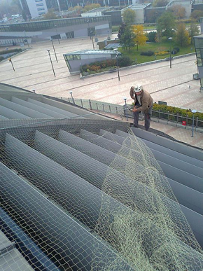 Galambmentesítés a Papp László Sportarénán