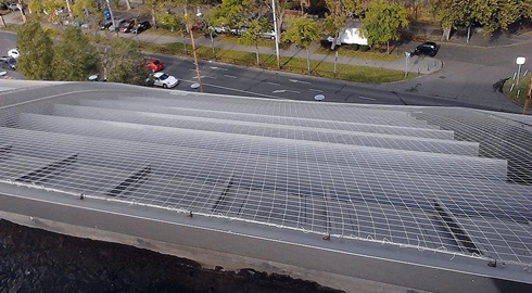 Galambmentesítés a Papp László Sportarénán