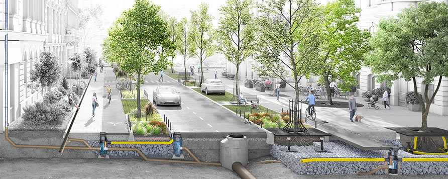 Ismerje meg az ACO Green City projektjét