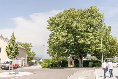 ACO Green City projek – Szivacsváros elv