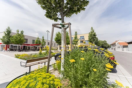 ACO Green City projek – Szivacsváros elv