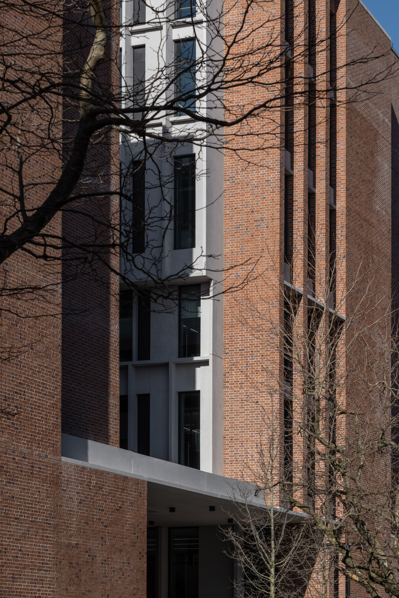 Electricity Supply Board Headquarters, Ireland – Working together kategória nyertese