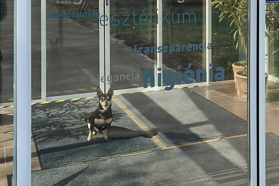 Az automata bejárati ajtók gyermek- és kutyabarát beállításának fontossága