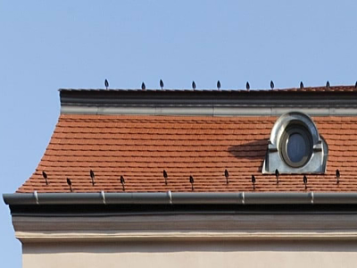 CREATON Kera-Biber hódfarkú cserép az újjászületett Pest-Buda Hotel tetején