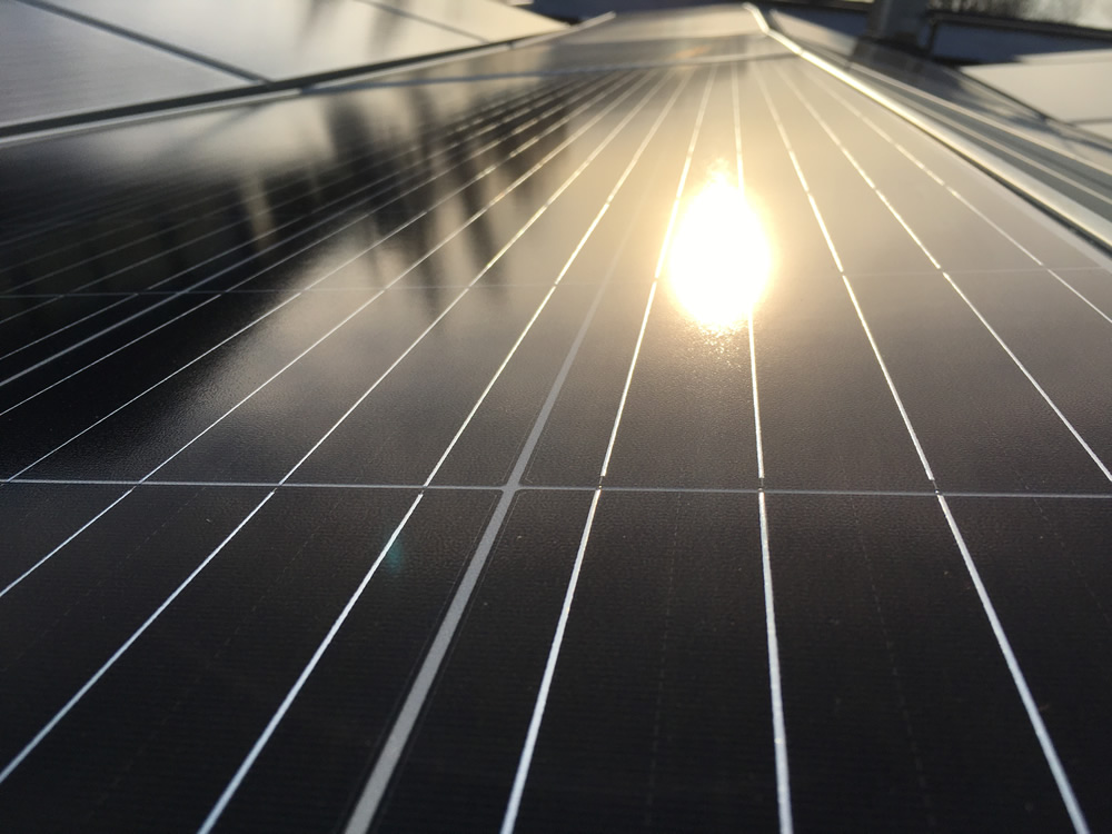Yingli napelemek egy Mórahalmi biotechnológiai kutatóközpontban