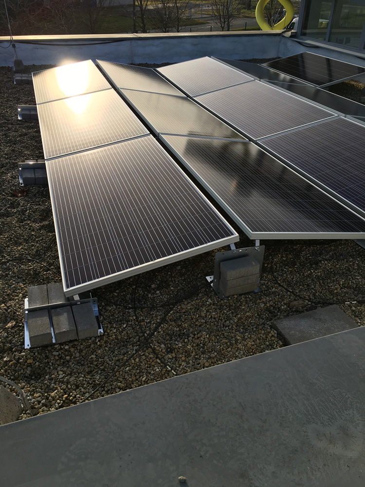Yingli napelemek egy Mórahalmi biotechnológiai kutatóközpontban