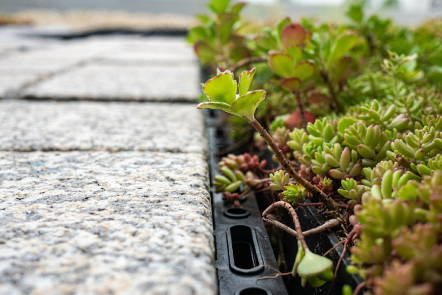 Vízáteresztő nagy teherbírású ECORASTER® talajrács rendszerek