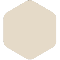 PPG Voice of Color® Be True - Botany beige