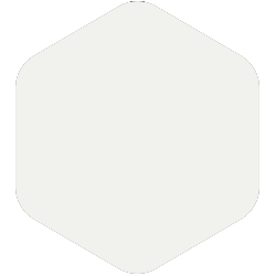 PPG Voice of Color® Be True - Delicate white