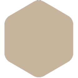 PPG Voice of Color® Be True - Best beige
