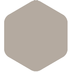 PPG Voice of Color® Be True - Shadow taupe