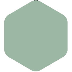 PPG Voice of Color® Be Well - Silver leaf