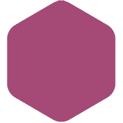 PPG Voice of Color® Be Wild - Cerise