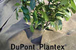 DuPont új táj- és kertépítő termékek a Gardenexpo-n
