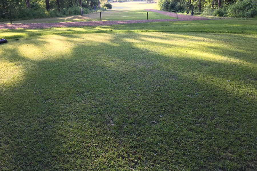 Nordic Lawn Green Hybrid fű termékek a Methode-Bau kínálatában