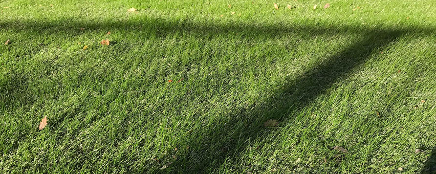Nordic Lawn Green Hybrid fű termékek a Methode-Bau kínálatában