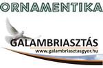Depigeonal® madárkár elleni épületvédő rendszer az Ornamentikától